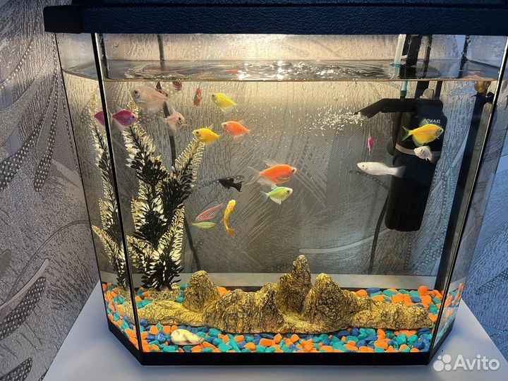 Аквариум