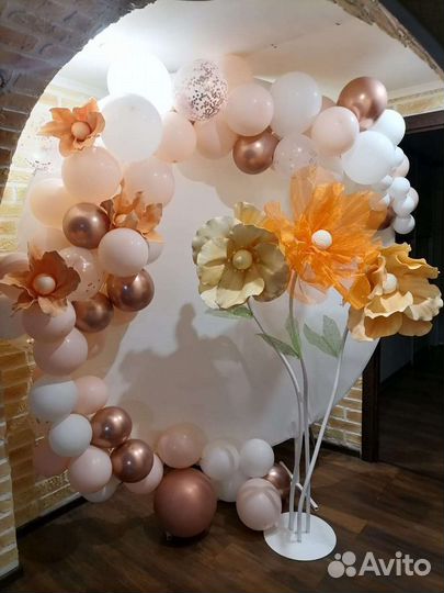 Ростовые цветы, аренда и продажа