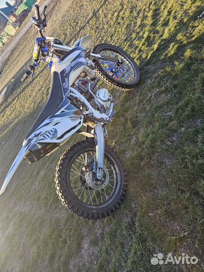 Avantis 250 fx basic