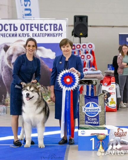 Услуги хендлера