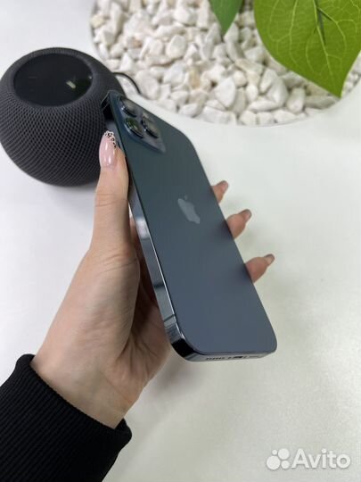 iPhone 12 Pro Max, 256 ГБ