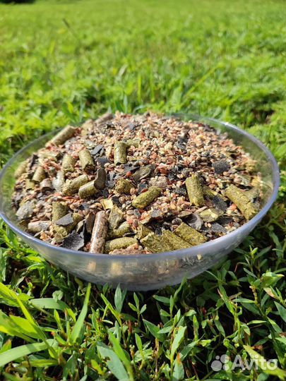 Мюсли для лошади «Vet.Dream»