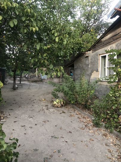 Дом 49,1 м² на участке 55,4 сот.