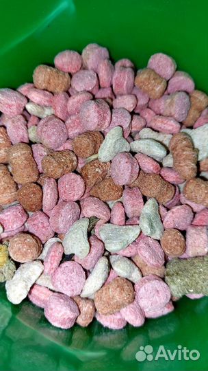 Корм для морских свинок