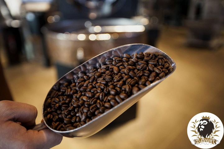 Кофе в зернах оптом от производителя