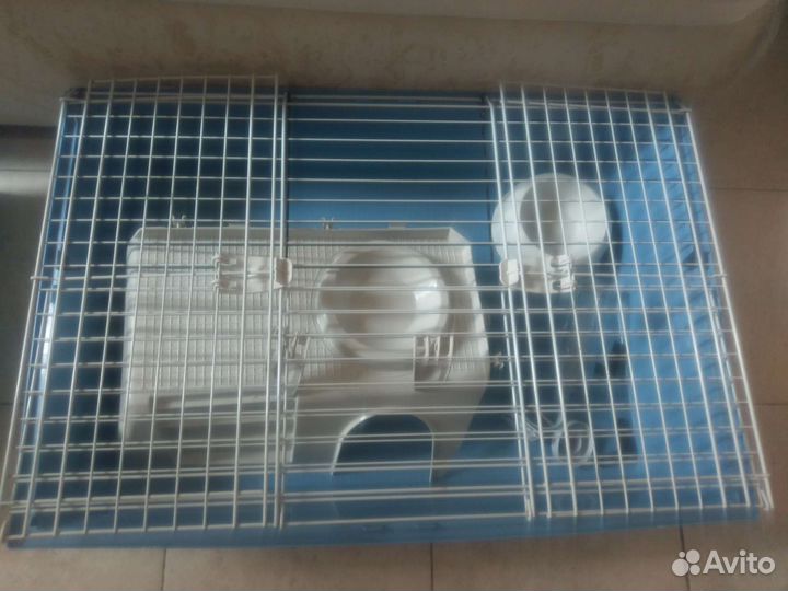 Клетка для грызунов бу