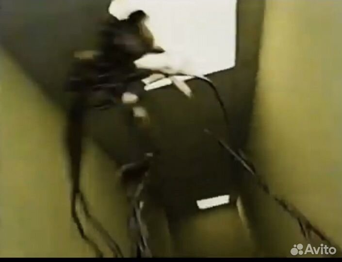 3D анимация, CGI, VFX видео