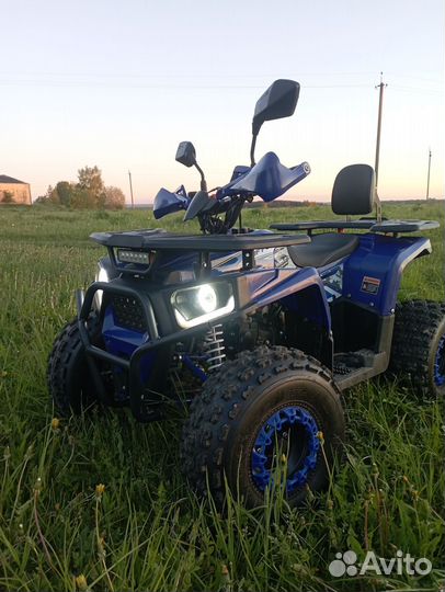 Квадроцикл Wels 125