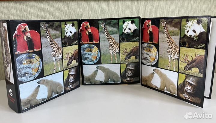 Энциклопедия. В мире дикой природы