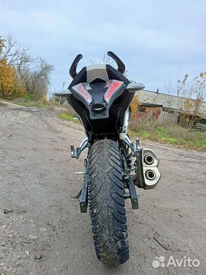 Рейсер шторм 250