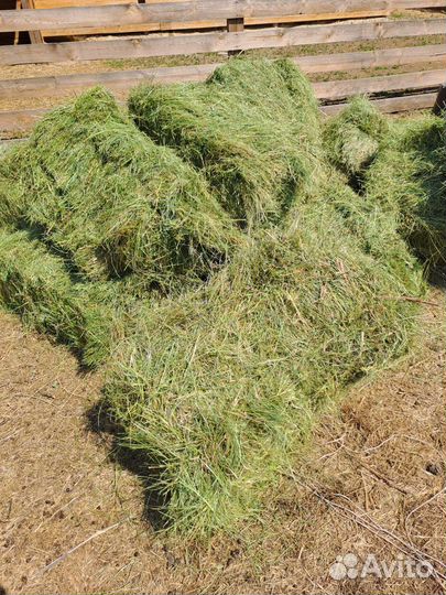 Сено с доставкой