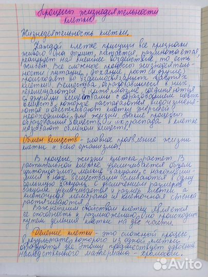 Перепишу лекции, конспекты