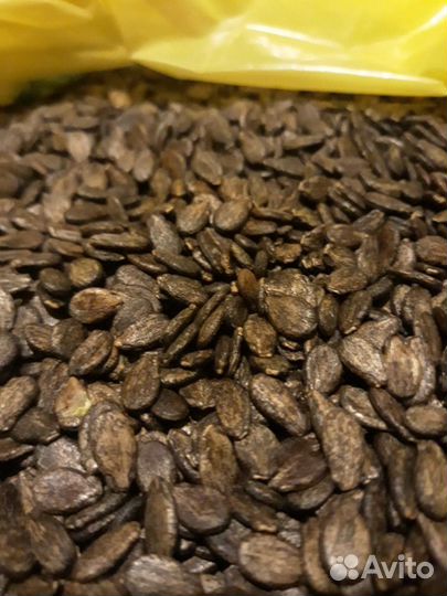 Семена арбуза 