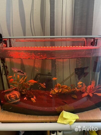 Свет лампа для аквариума и автокормушка тетра