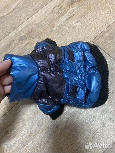 Одежда для маленьких собак