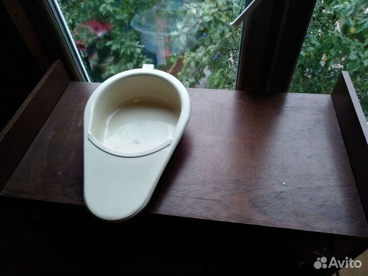 Утка медицинская 