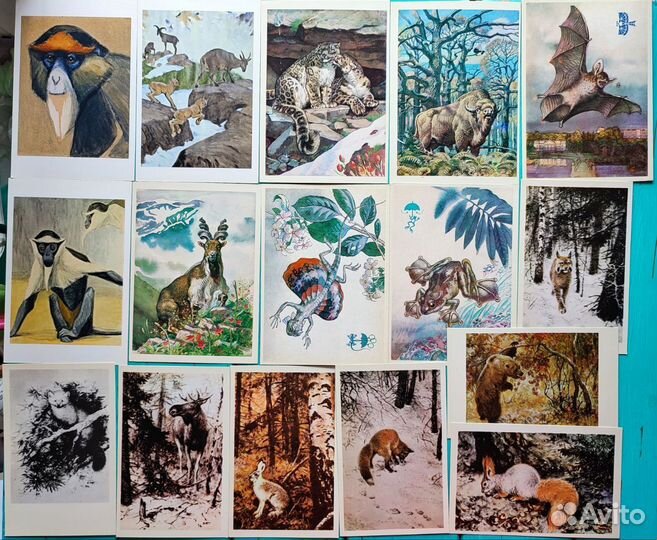 Открытки, иллюстрации животные