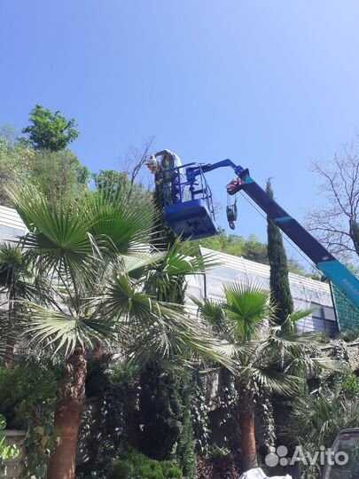 Аренда и услуги телескопической автовышки, 200 кг, 10 м