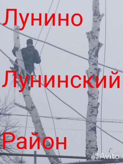 Спил деревьев. Расчистка, планировка