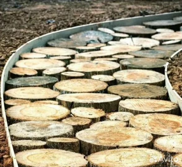 Спилы березы, для декора