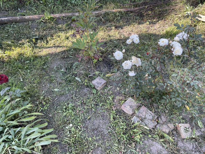 Дача 24 м² на участке 6 сот.