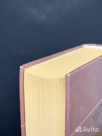 Самые популярные блюда Европы