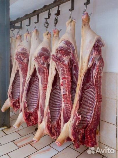 Мясо свинина оптом и в розницу