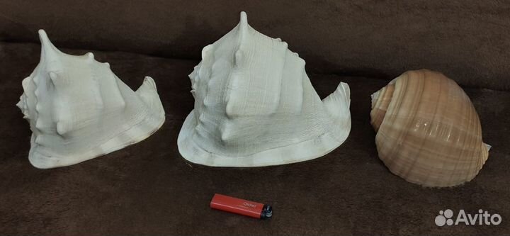 Декорации и грунт для аквариума