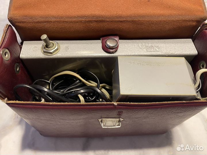 Фотовспышка чайка