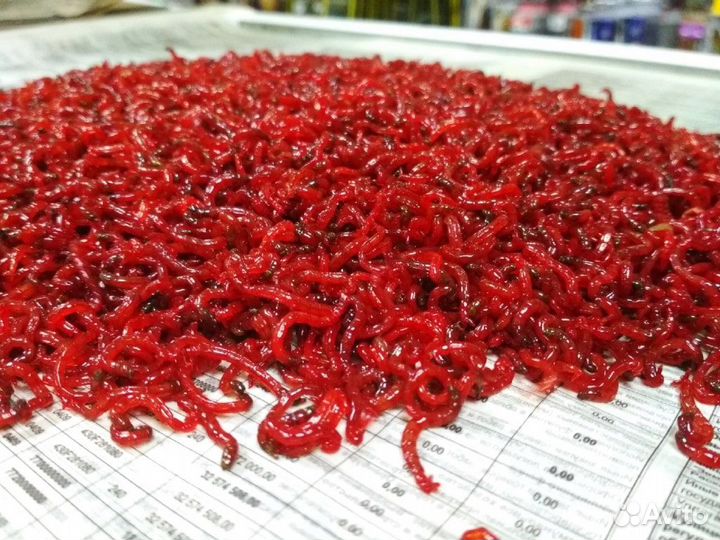 Мотыль, артемия заморозка