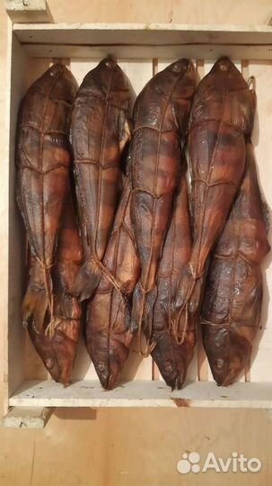 Рыба горячего и холодного копчения