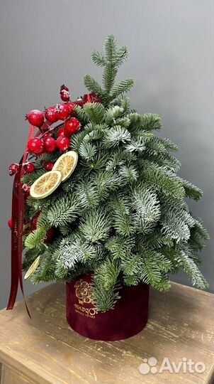 Новогодний букет. Букет из нобилиса