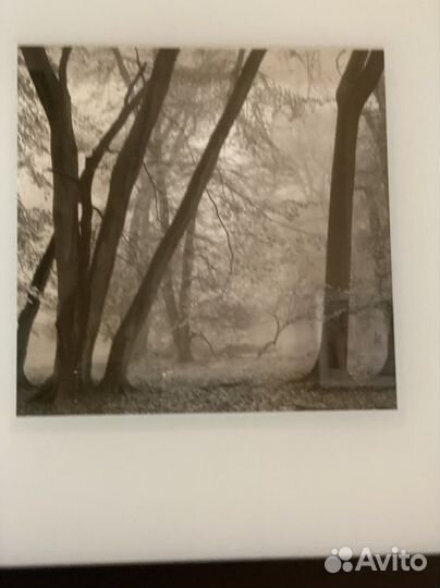 Картина IKEA триптих