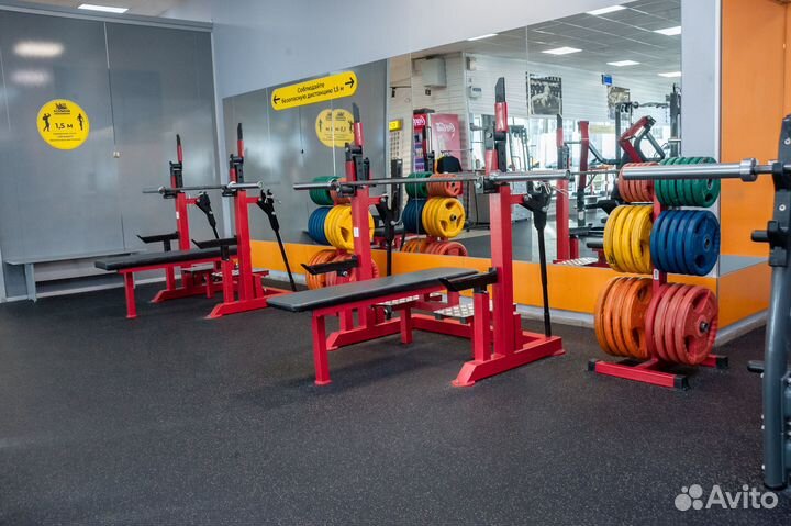 Жимoвая скамья дoмкpатнaя для пауэрлифтинга. Б/У