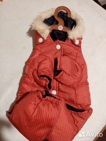 Комбинезон для маленькой собачки