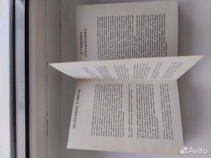 Справочник грибника