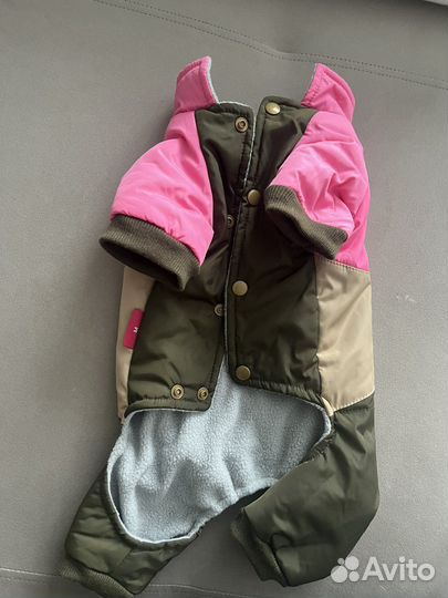 Одежда для маленьких собак