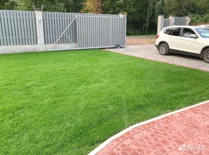 Рулонный газон