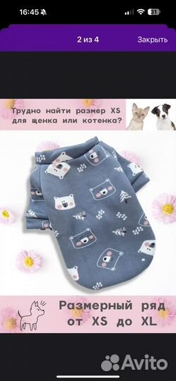 Толстовка для собак (бронь)