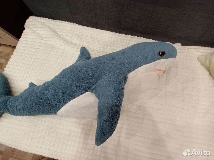 Акула из икеи