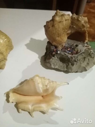 Живопись на камне