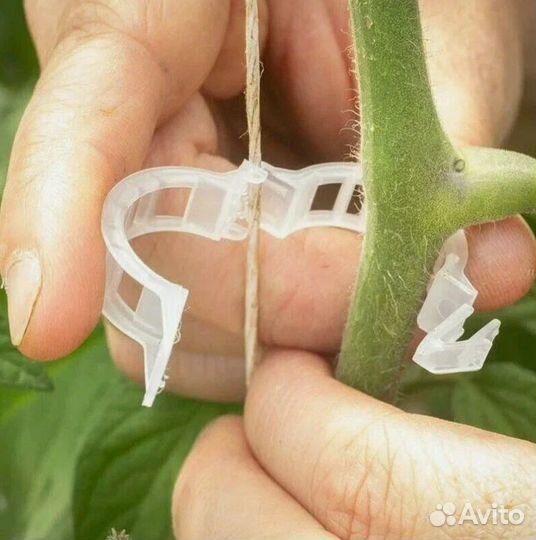 Клипса для крепления растения d25 мм (25 шт/упак)