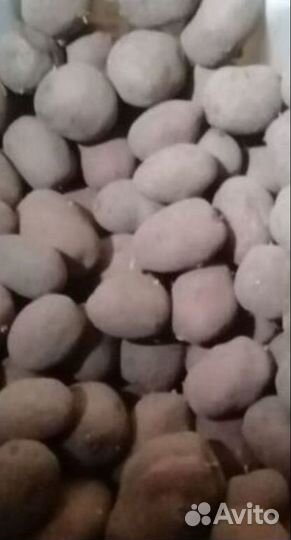 Продам картофель