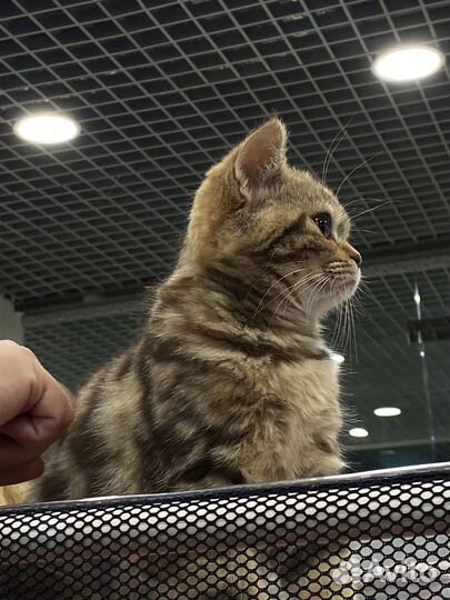 Красивый малыш