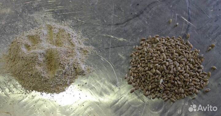 Зернодробилка Лидер 5,5кВт