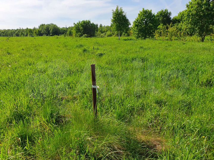 Участок 20 сот. (ИЖС)