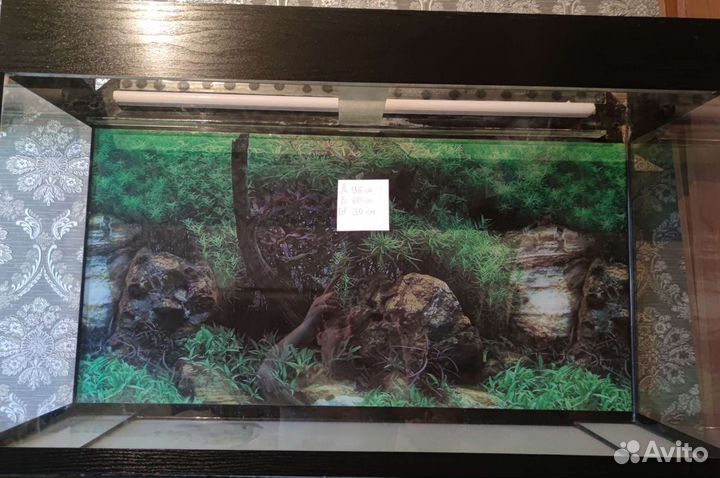 Аквариум