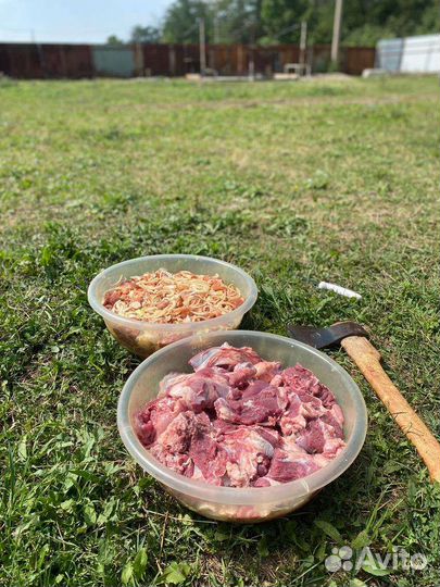 Мясо баранина халяль