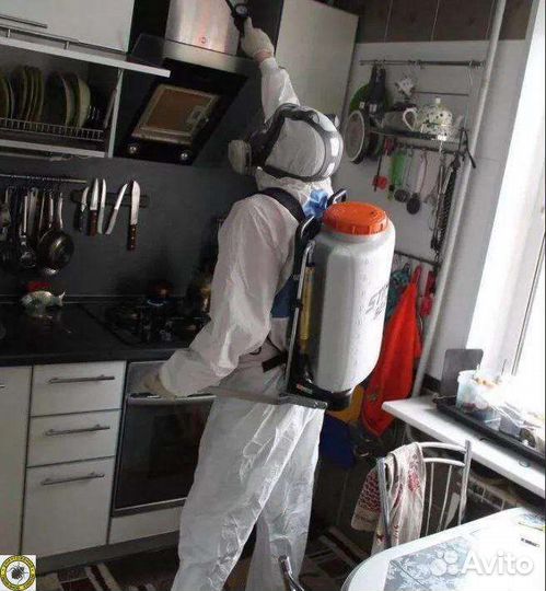 Дезинсекция, травля клопов, уничтожение тараканов