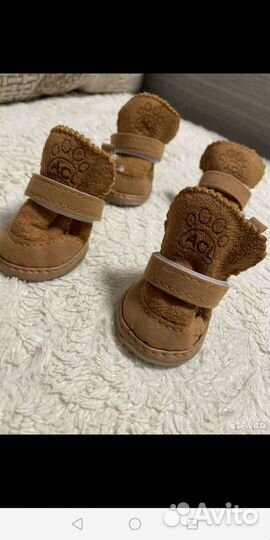 Обувь для маленьких собак